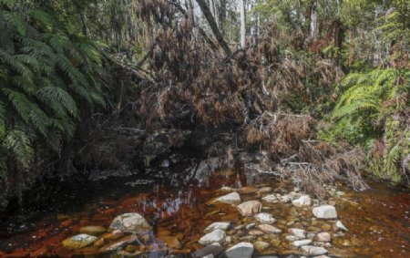 岩石海浪水面山泉鹅卵石