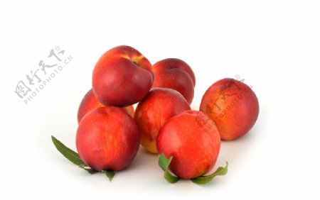 油桃桃子水果红色桃子桃