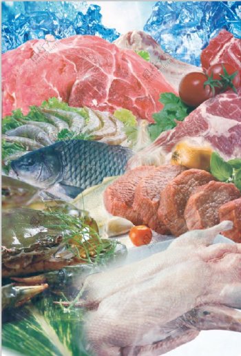 商场生鲜猪肉海鲜