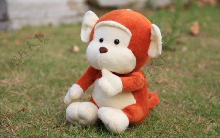 毛绒玩具公仔娃娃摄影小猴子