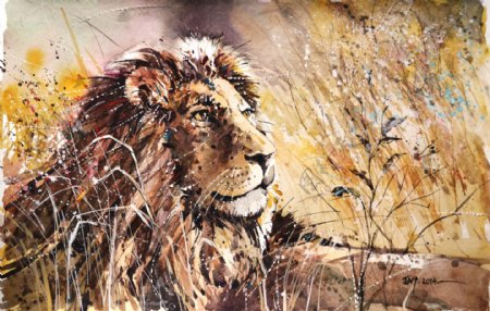 狮子水彩手绘非洲草原