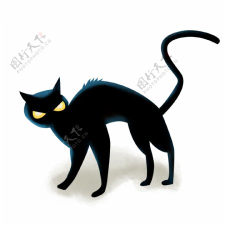 手绘万圣节黑猫可商用元素