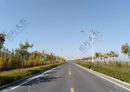 乡村道路风景