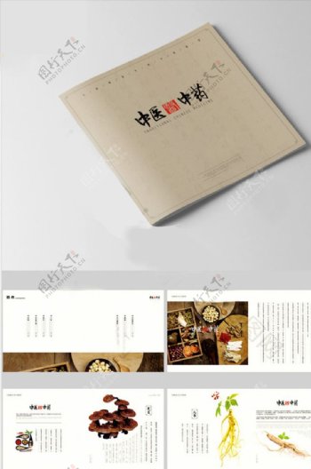 中国风中式中医医药传统文化画册