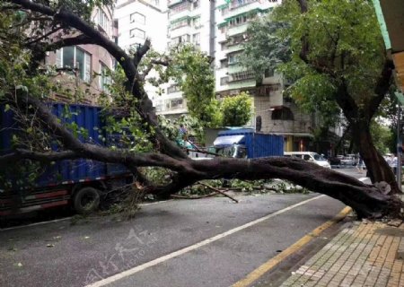 广州台风