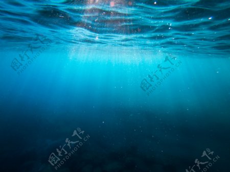 海底世界景观透光