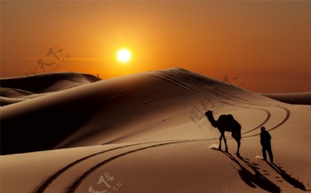 太阳人沙漠骆驼
