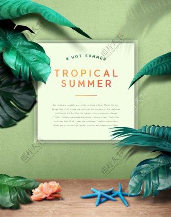 夏季带植物海星海报设计