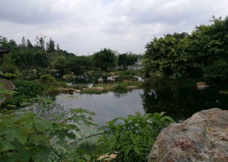 公园小湖