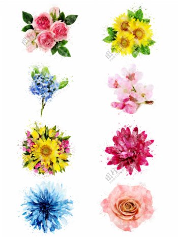 手绘水彩花卉玫瑰向日葵桃花等元素合集