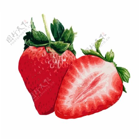 草莓水果原创可商用元素