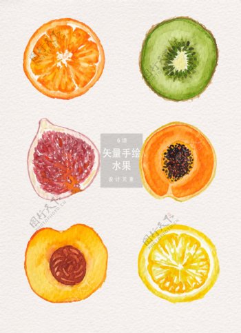 水彩水果插画