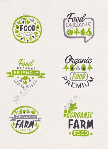绿色素菜设计图标