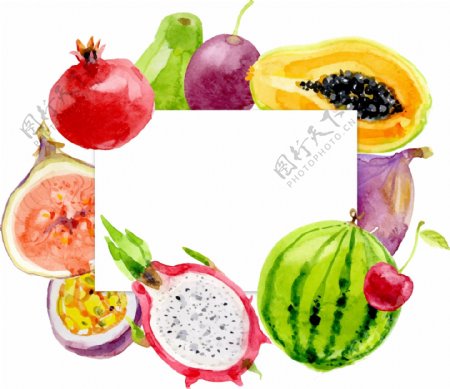 卡通手绘水果方框矢量元素