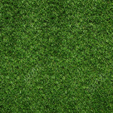草坪绿色墙面