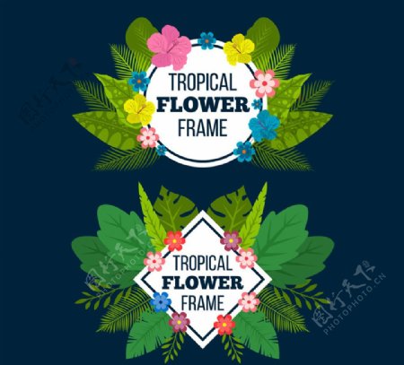 2款创意热带花草框架矢量素材