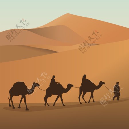 沙漠风光骆驼