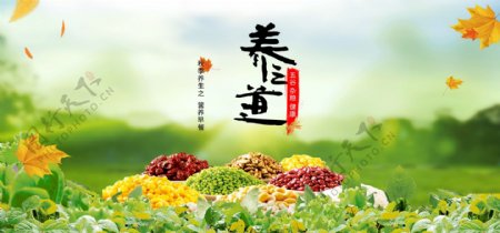 养生五谷杂粮电商banner