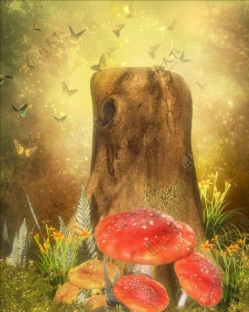 蘑菇画