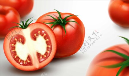 番茄矢量素材