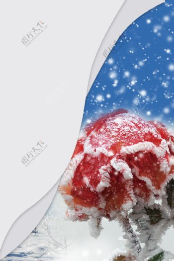 清新简约冬季风景下雪广告背景