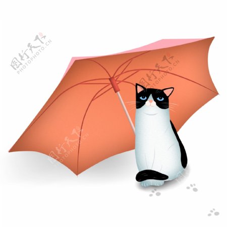 卡通手绘拿着伞的猫咪