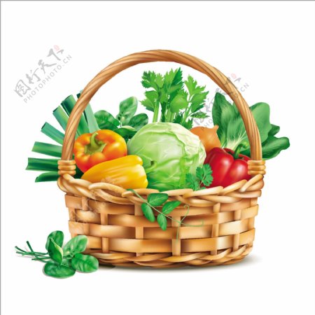 矢量蔬菜篮子