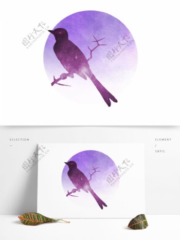 紫红色暗夜鸟可商用元素