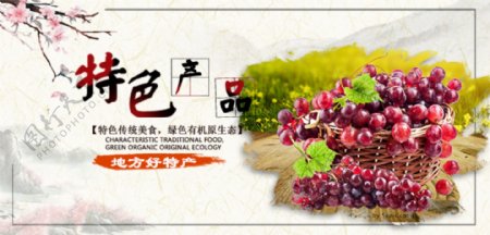葡萄水果海报banner
