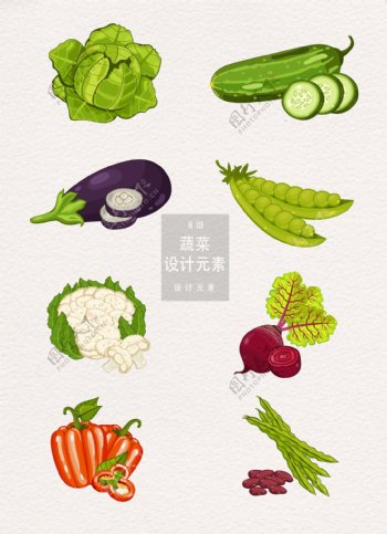 8款蔬菜手绘矢量设计元素