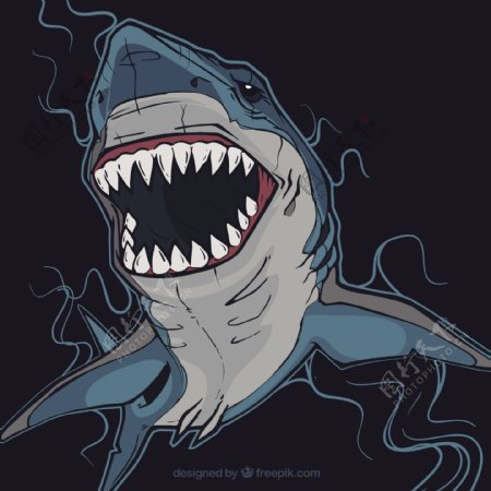 危险的鲨鱼插图