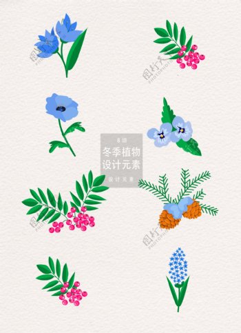 冬季花卉植物叶子装饰图案