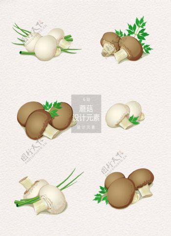 蘑菇菇类设计元素