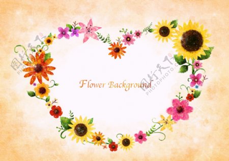 花卉底纹边框