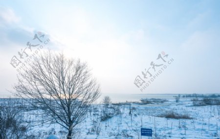 雪景