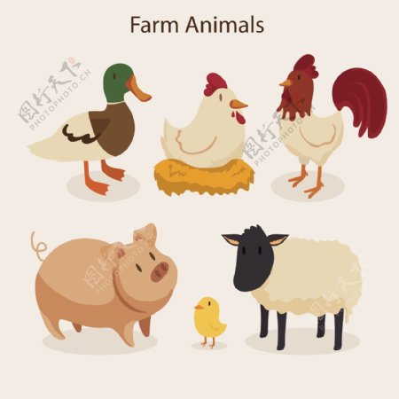 卡通农场动物收藏