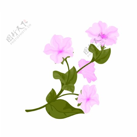 手绘写实风装饰植物粉色喇叭花卉