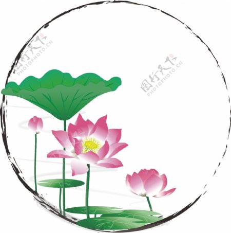 手绘中国风水墨边框花卉植物荷花装饰元素