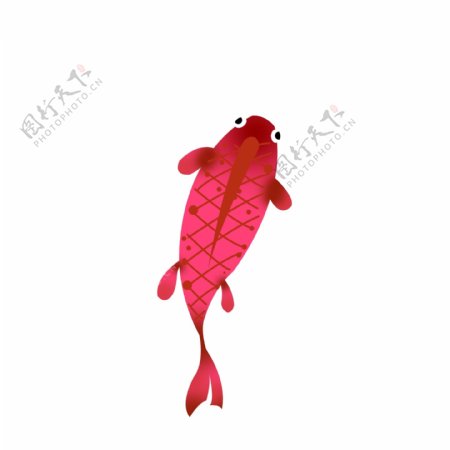 手绘红鲤鱼元素设计