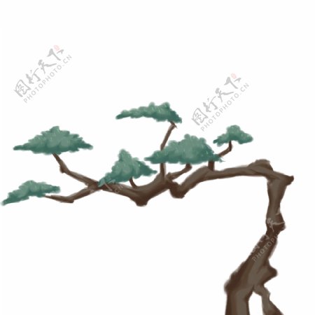 中国风水墨松树插画