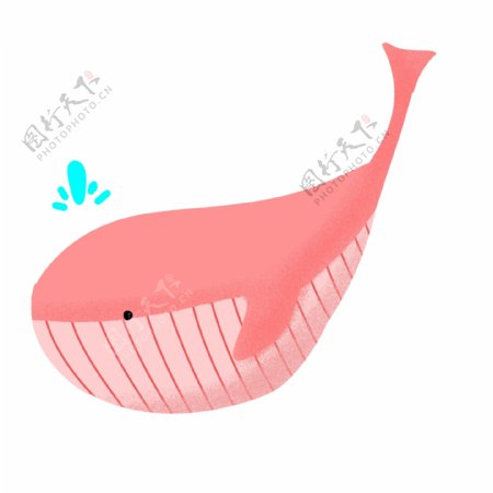 橘粉色可爱的鲸鱼插画