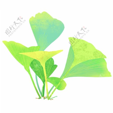 卡通手绘水彩植物插画三叶草