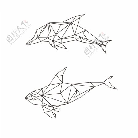 简笔手绘海豚鲸鱼动物线条几何图案