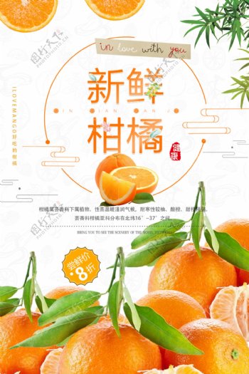 大气时尚柑橘水果促销海报设计