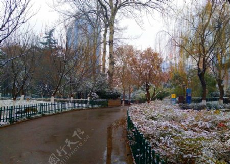 下雪天的公园风景