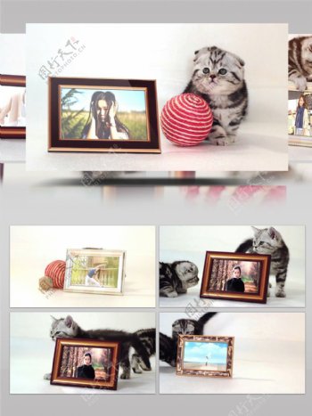 可爱猫咪个人写真相册展示AE模板
