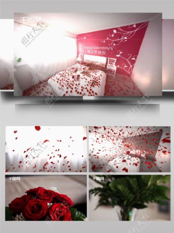 美丽玫瑰花瓣卧室飘落ae模板