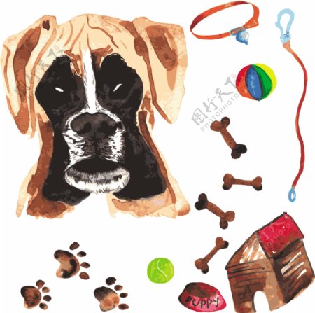 动物水彩手绘狗及宠物用品矢量