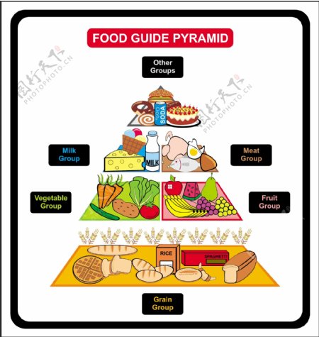 食物膳食结构图矢量素材