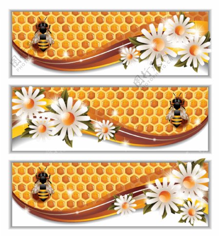 白色小花蜂巢蜂蜜矢量设计元素
